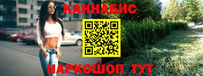 Альфа ПВП Будённовск